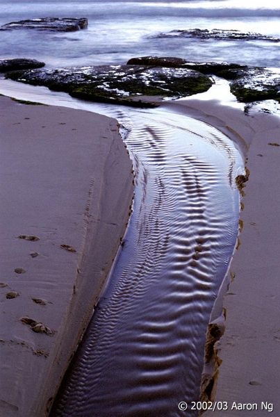 image0204.jpg