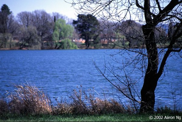 image03-35.jpg