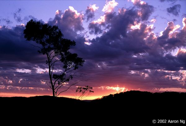 image05-10.jpg